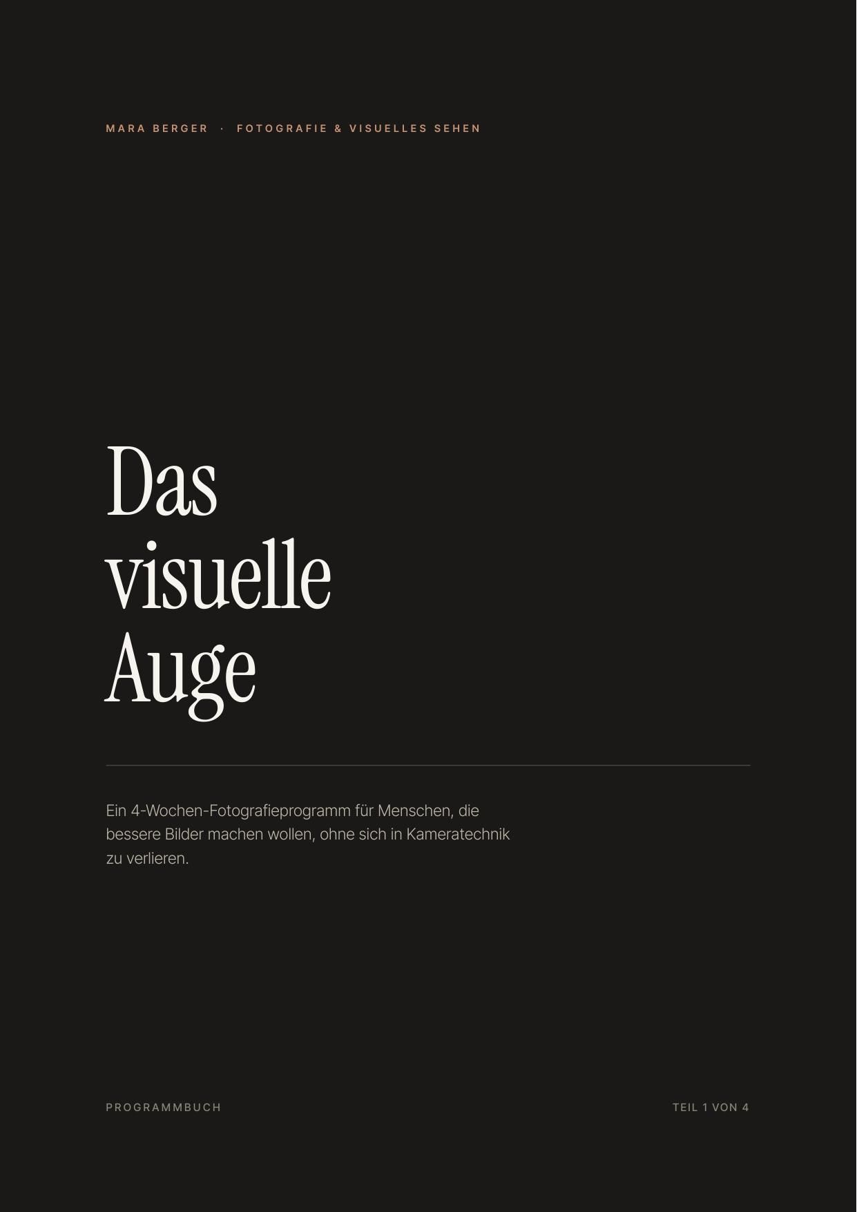 Cover: Das visuelle Auge